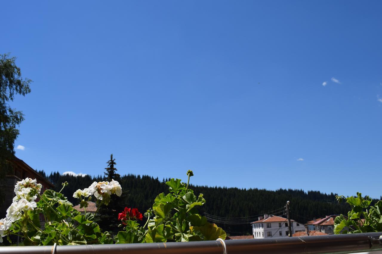 Complex Pele Hotel Zmeitsa Buitenkant foto