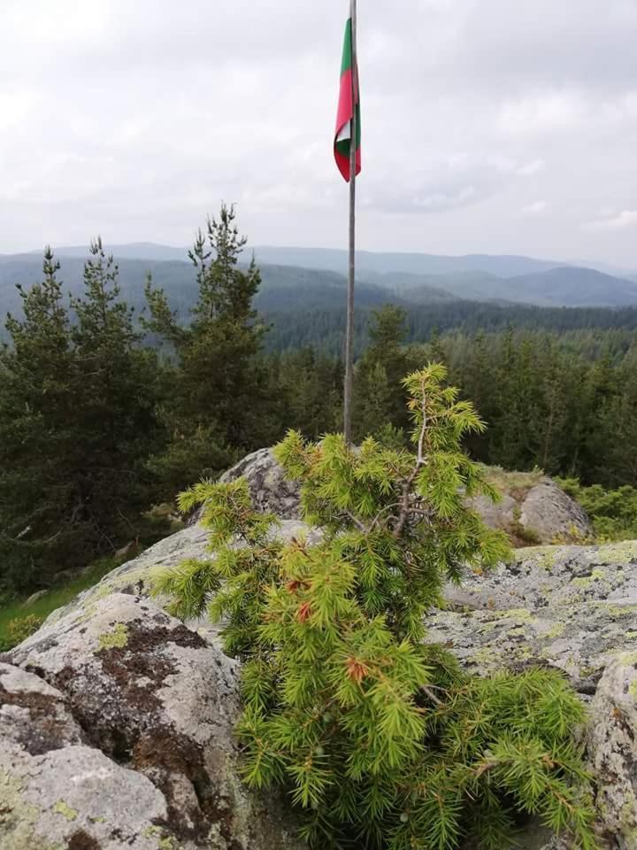 Complex Pele Hotel Zmeitsa Buitenkant foto