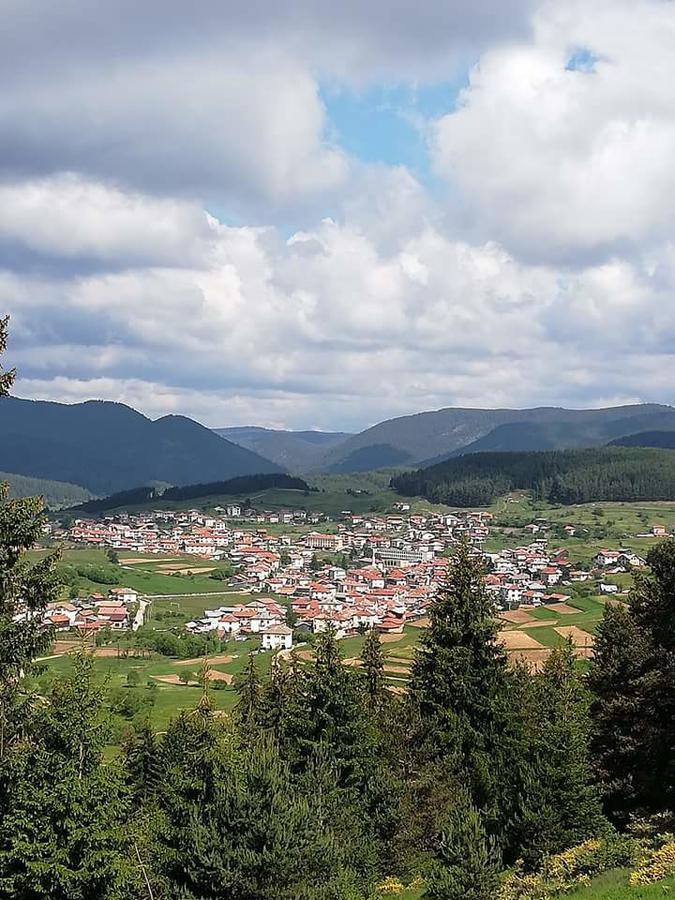 Complex Pele Hotel Zmeitsa Buitenkant foto