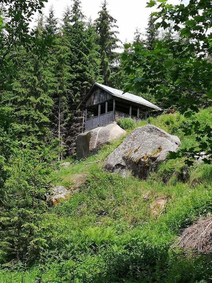 Complex Pele Hotel Zmeitsa Buitenkant foto